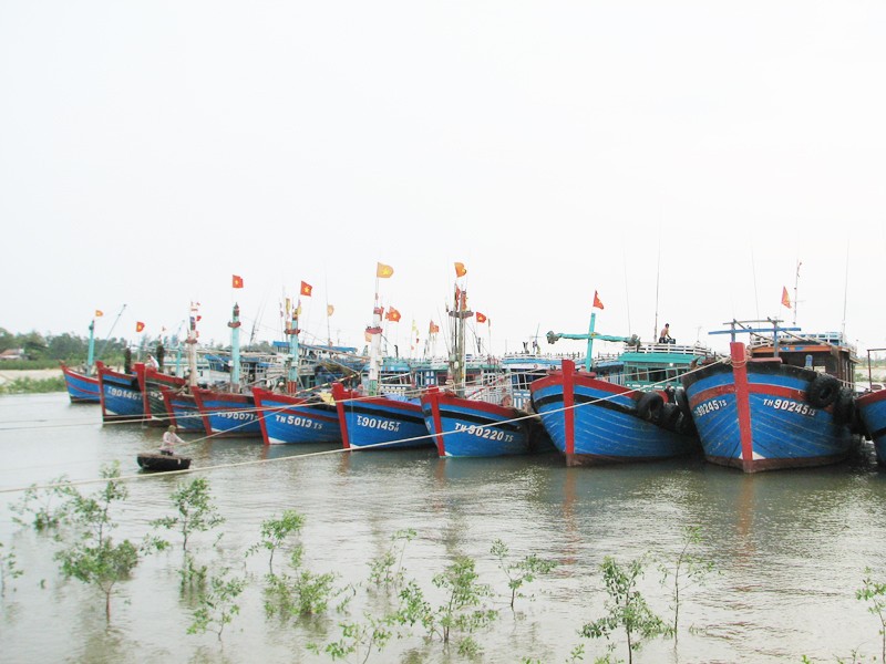 Tàu thuyền của ngư dân Sầm Sơn neo đậu tránh bão tại âu tránh bão xã Quảng Tiến, thị xã Sầm Sơn chiều 16-7