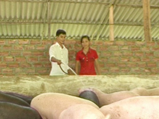 Lê Văn Bảy đang giới thiệu mô hình chăn nuôi lợn Ảnh: N.H