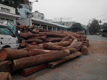 Bắt giữ hơn 40m3 gỗ không rõ nguồn gốc