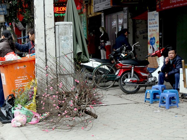Những cành đào rực rỡ hoa bị vất bừa bãi trên nhiều tuyến phố của thủ đô Hà Nội