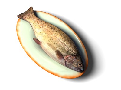 Ăn cá khi mang bầu, con ít nguy cơ tăng động giảm chú ý