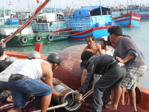 Gió bão tại đảo Lý Sơn đang mạnh lên