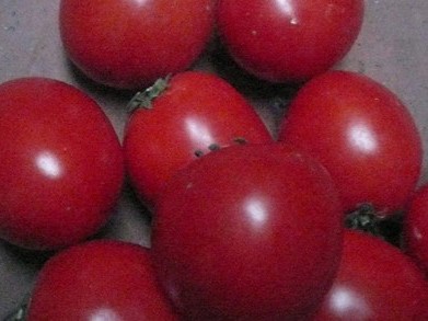 Cà chua chín đỏ đẹp nhờ hóa chất lạ