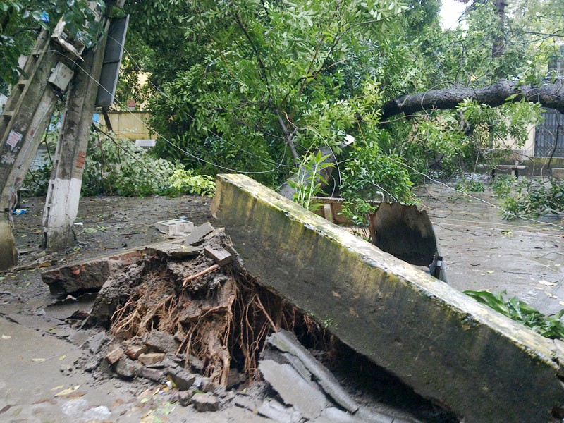 Hà Nội: Liên tiếp nhiều cây lớn gãy đổ