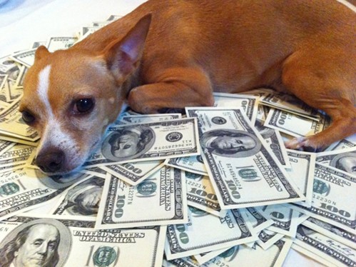Để lại 50 tỷ đồng cho chó cưng