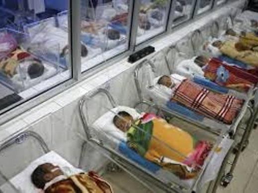Bác sĩ Trung Quốc bán 7 trẻ sơ sinh
