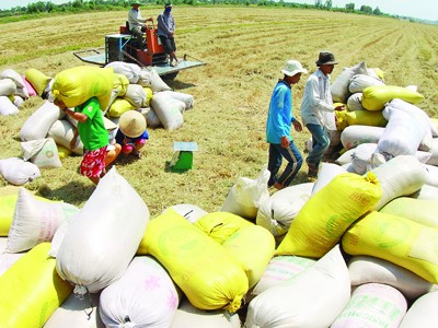 Xuất khẩu gạo và thủy sản đều tăng