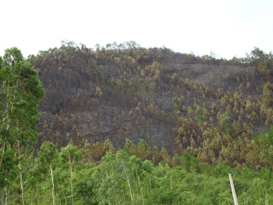 Cháy sát nách vườn quốc gia Phong Nha - Kẻ Bàng