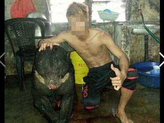 Giới trẻ phẫn nộ nam thanh niên ‘khoe’ xác gấu trên Facebook