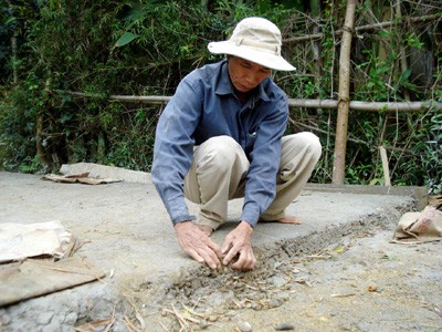 Sau gần 1 tuần, dùng tay vẫn có thể bóc bê tông