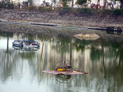 Ba chiếc bẫy nổi đang thử nghiệm tại hồ Văn Quán