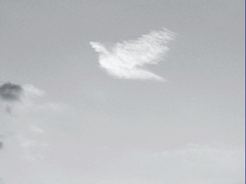 Đám mây hình chim bồ câu