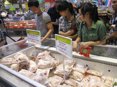 Gà nhập Hàn Quốc là 'gà loại thải' chứ không chỉ là 'gà dai'