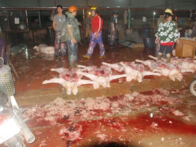 Nhiều điểm giết mổ gia súc ở Hà Nội không đảm bảo vệ sinh Ảnh: Phạm Anh