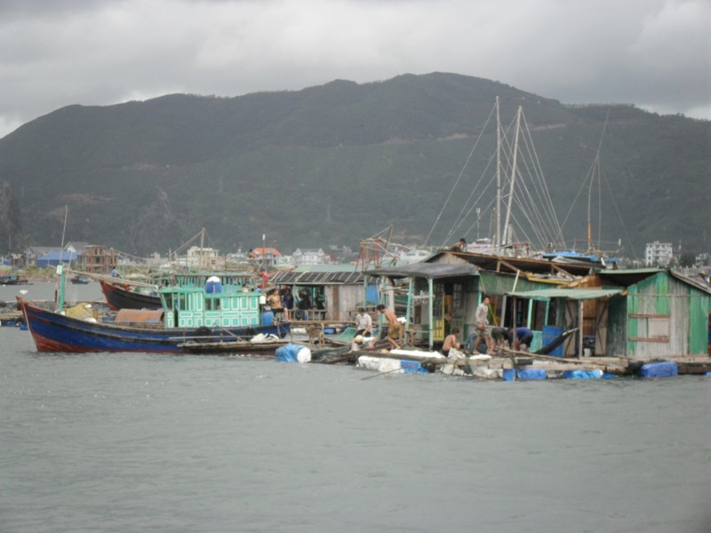 Những bè cá tại Quảng Ninh bị tàn phá trong bão. Ảnh: T.D