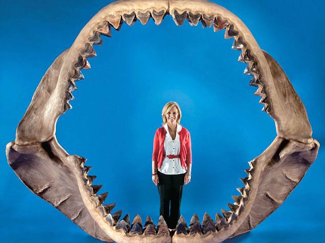 Tìm thấy hàm răng cá mập khổng lồ