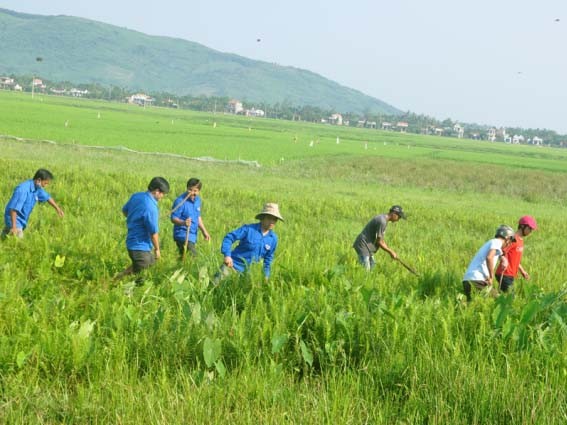 Sẽ đính chính công văn phát động học sinh nộp đuôi chuột