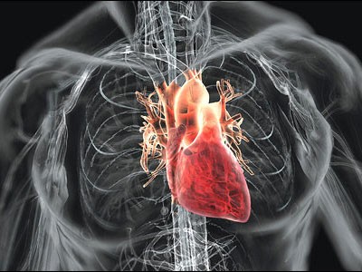 Thuốc cai thuốc lá làm tăng nguy cơ mắc bệnh tim