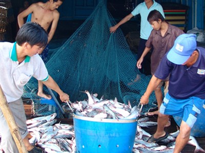 'Lật kèo' hợp đồng mua bán cá tra