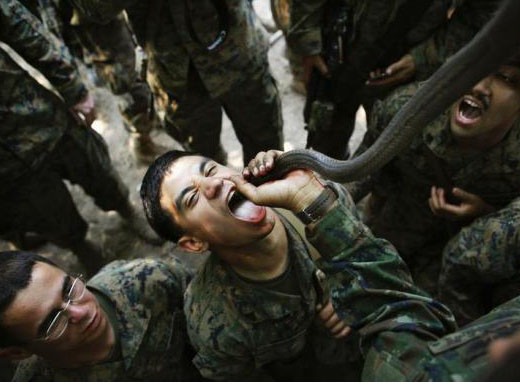 Lính Mỹ uống máu hổ mang