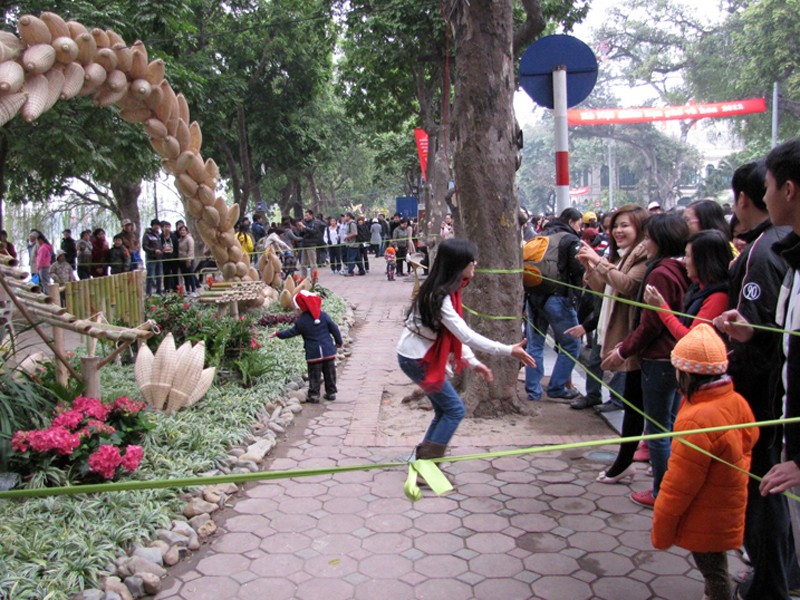Vượt rào chụp ảnh tại lễ hội hoa 2012