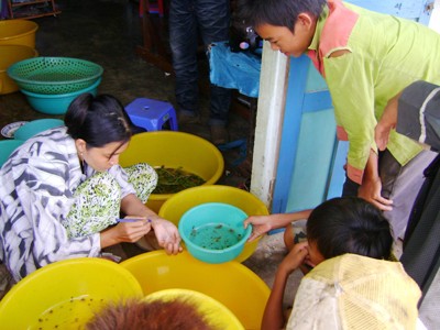 Trẻ em nghèo ven biển Bạc Liêu mò cua con để bán cho trại giống kiếm tiền