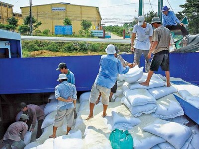 Lúa gạo tăng giá, nông dân thêm quyền mặc cả