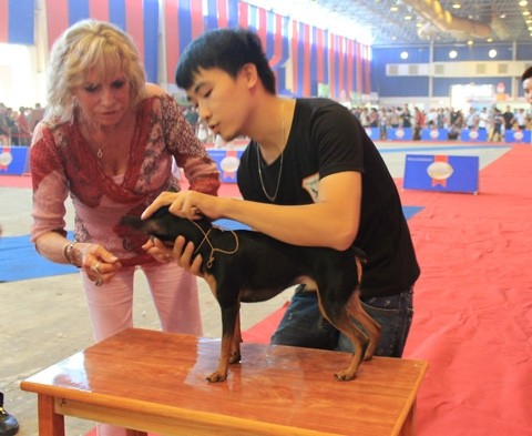 Cuộc thi 'hoa hậu'… chó lần đầu tiên tại Hà Nội