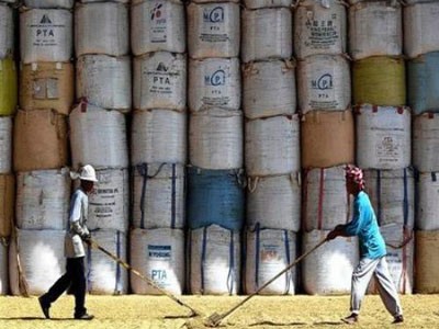 Thái Lan lỗ hơn 11 tỷ USD vì trợ giá gạo