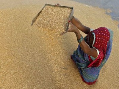 Ấn Độ trợ cấp lương thực cho 80% dân số