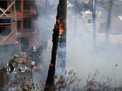 Cháy rừng thông gần khu dân cư