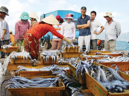 Thương lái Trung Quốc lén lút mua cá tại Nha Trang