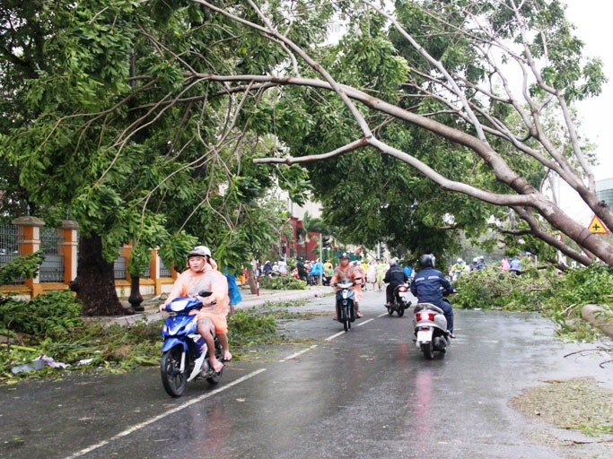 Miền Trung gia tăng thiệt hại do bão Nari