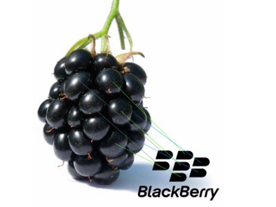 BlackBerry: Khủng hoảng nhưng không mắc nợ
