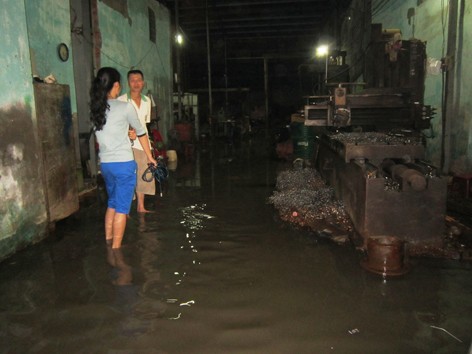 Ngập lụt TPHCM: Không chống nổi thì ...sống chung