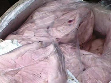 Thu giữ 1,6 tấn nội tạng lợn thối