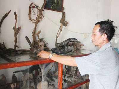 Tủ trưng bày gỗ lũa của ông Nguyễn Ngọc Cũi Ảnh: Trường Văn