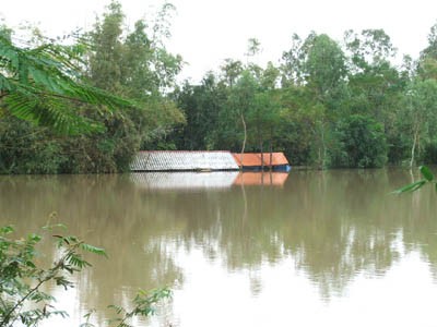 Hàng ngàn nhà dân ở Bình Định bị lũ nhấn chìm