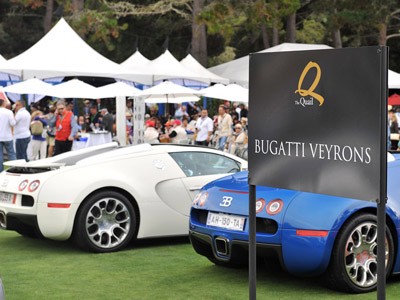 Bugatti Veyron tụ họp tại ngày hội xe hơi Quail