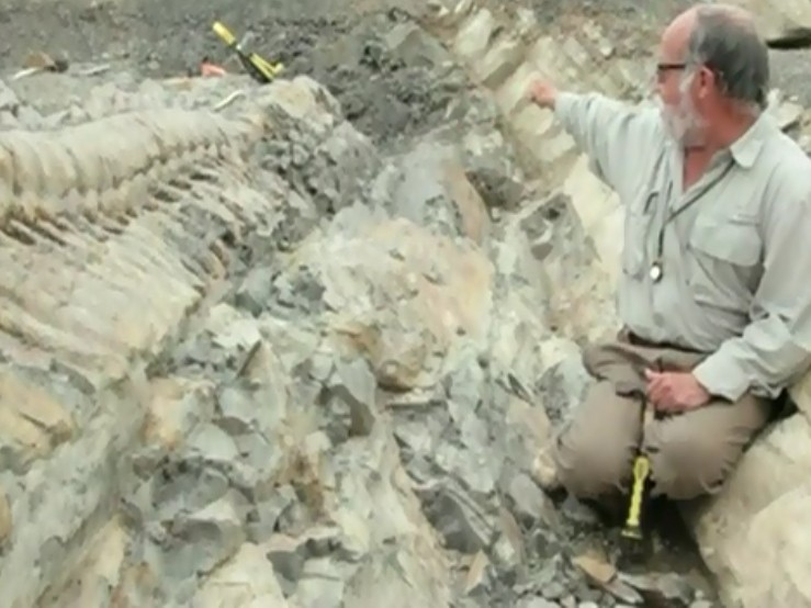 Phát hiện đuôi khủng long 72 triệu năm tuổi