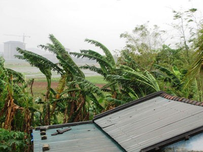 Thừa Thiên - Huế: Gió mạnh lên ở đất liền