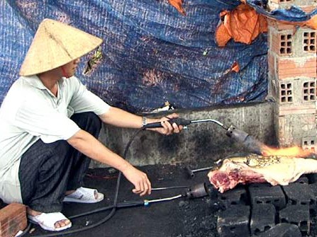Bình Định: Phát hiện 6 cơ sở làm giả thịt lợn rừng