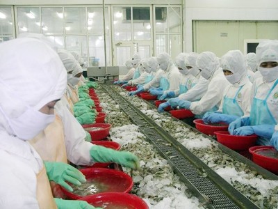 Việt Nam xuất khẩu 200.000 tấn tôm trị giá 1,7 tỷ USD trong 10 tháng đầu năm nay Ảnh: EPS