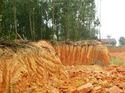 Hàng nghìn mét khối đất bị đào tại đồi Hóc Phân Sen