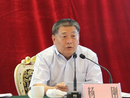 Ông Yang Gang là phó chủ tịch Ủy ban các Vấn đề Kinh tế thuộc Hội nghị Chính trị Hiệp thương Nhân dân Trung Quốc (CPPCC),