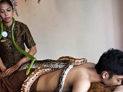 'Giật mình' với dịch vụ massage rắn