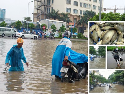 Bắt cá, lội nước trên đường phố Hà Nội