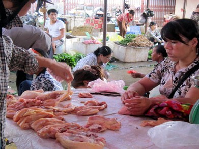 Thịt gà 30.000 đồng/kg lại ồ ạt ra chợ