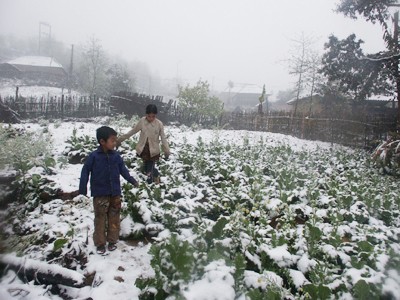 Hôm qua, xã Ý Tý tiếp tục có tuyết rơi Ảnh: Lưu Minh Hải