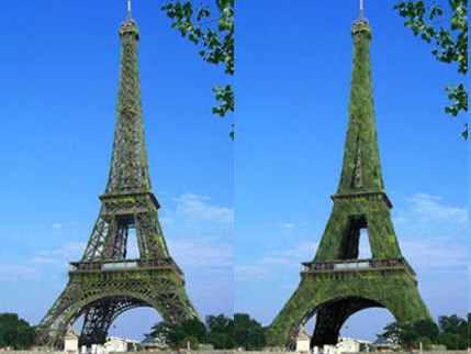 Tháp Eiffel có thể trở thành cây lớn nhất thế giới